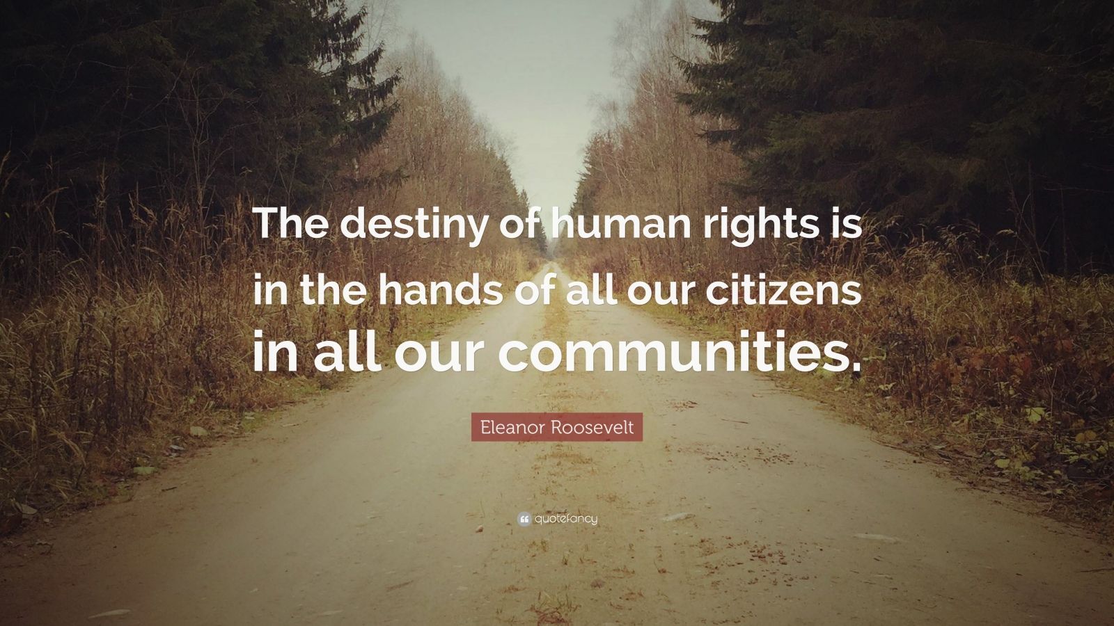 Eleanor Roosevelt Quote: “The destiny of human rights is in the hands of all our citizens in all our communities.”