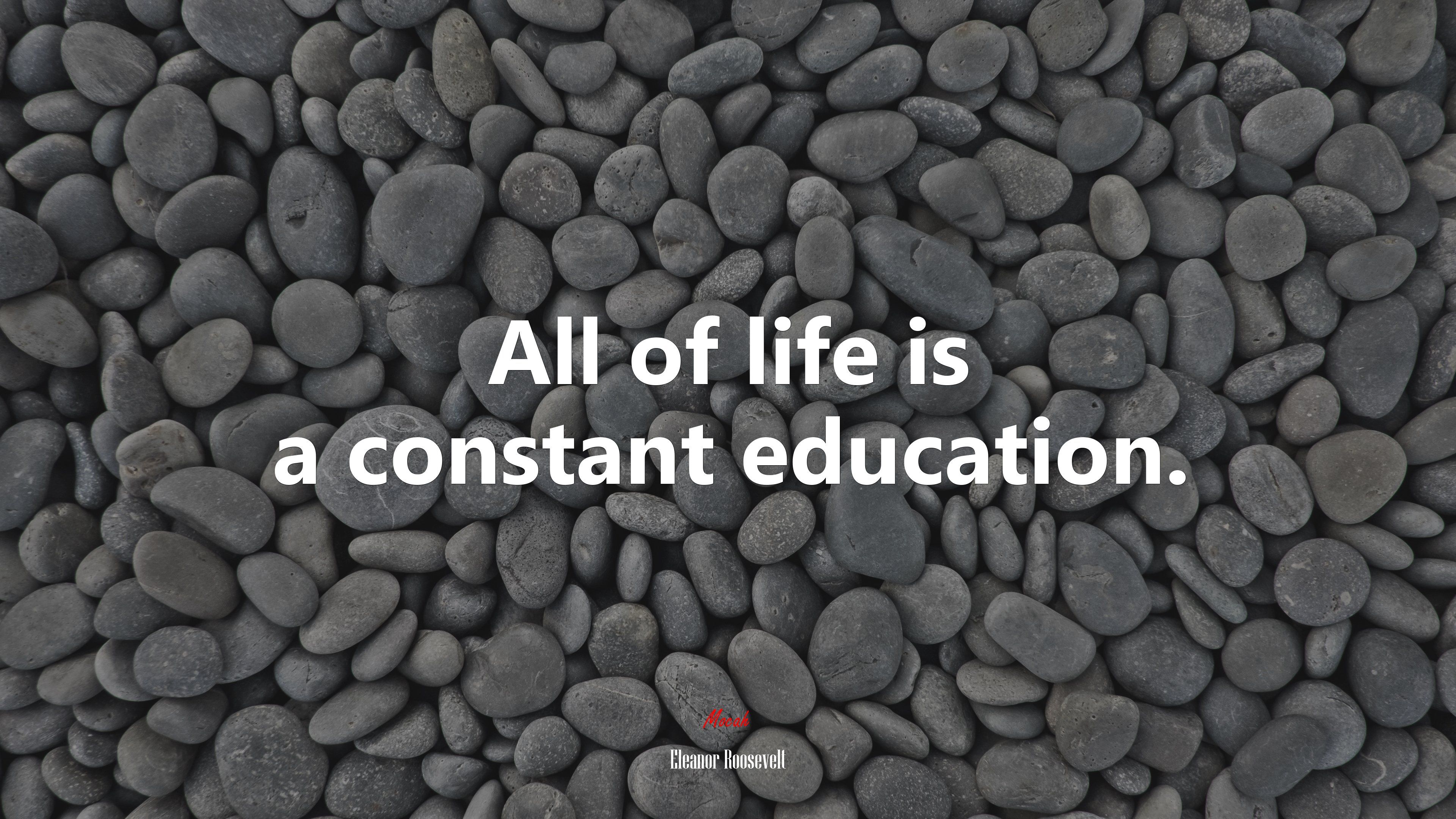 All of life is a constant education. Eleanor Roosevelt quote, 4k wallpaper. Mocah HD Wallpaper