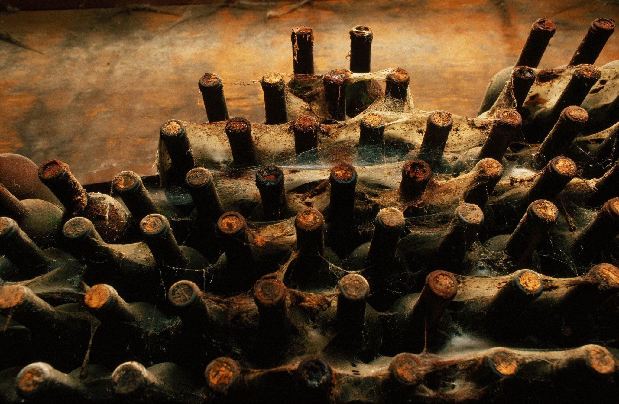 Wine Cellar Wallpaper