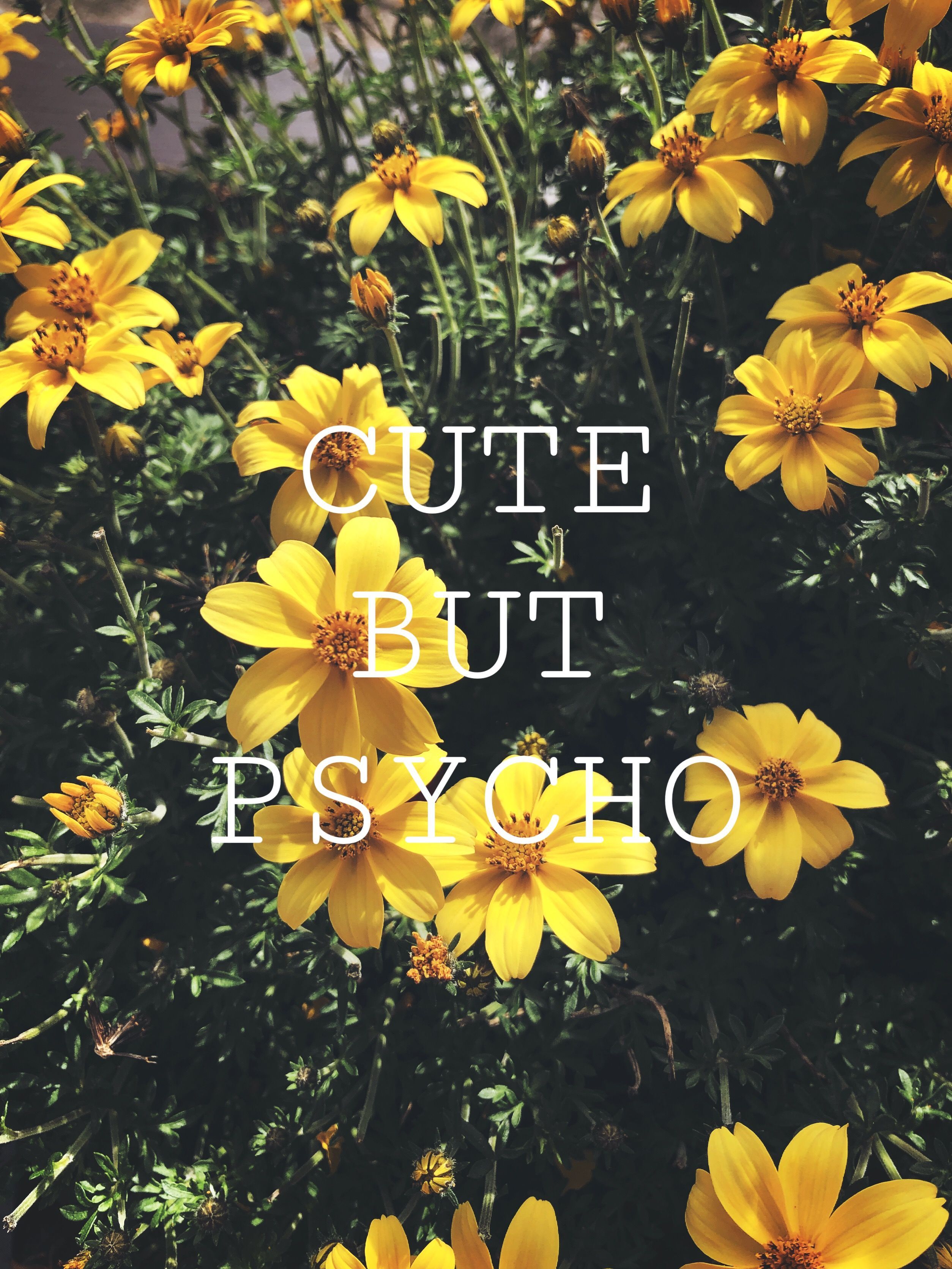 CUTE BUT PSYCHO. Psycho wallpaper, Cute but psycho wallpaper, Phone wallpaper