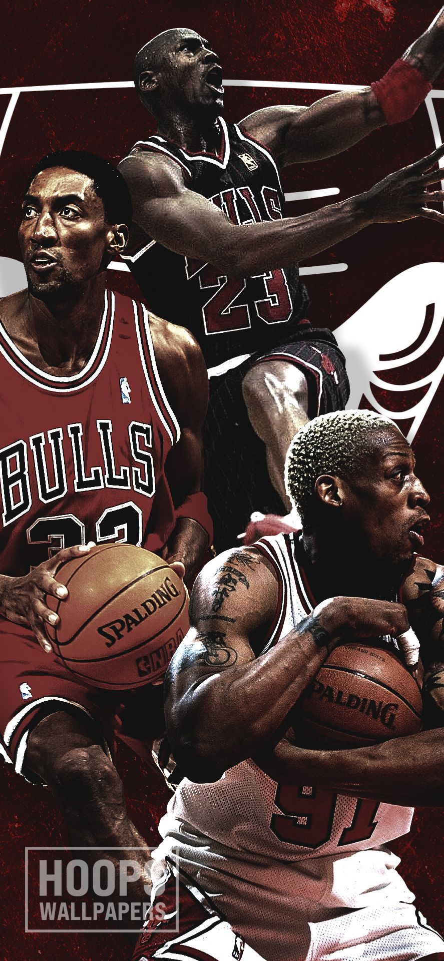 Wallpaper Basketball, Michael Jordan, NBA, Michael Jordan, NBA, Basketball,  Dennis Rodman, Scottie Pippen images for desktop, section спорт - download
