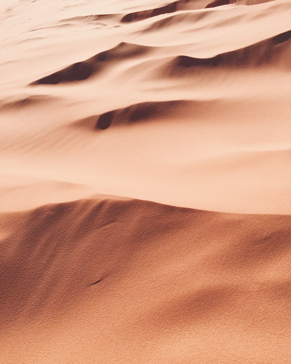 Pink Desert Picture. Download Free Image