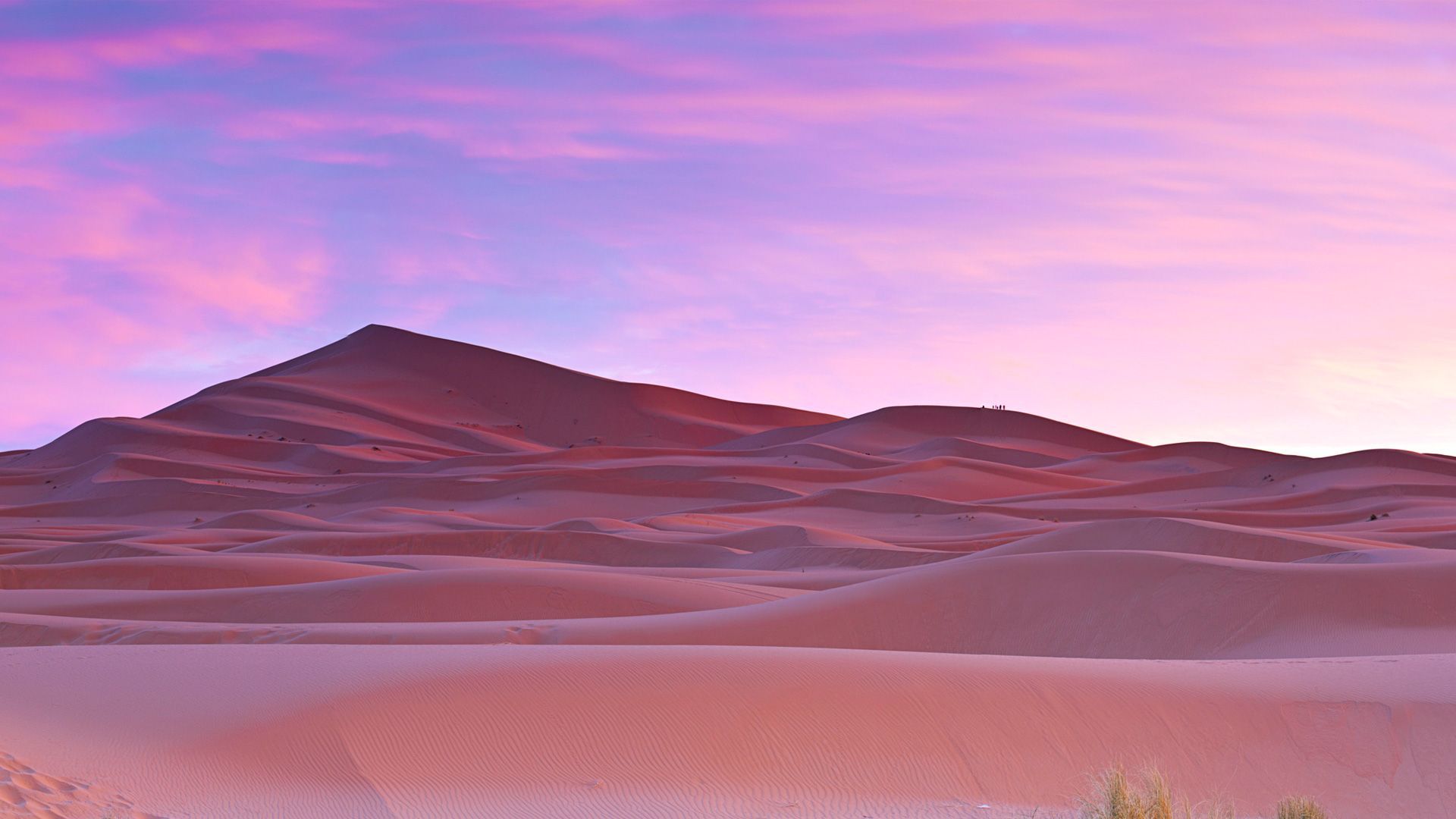 Sahara Desert Wallpaper Free Sahara Desert Background