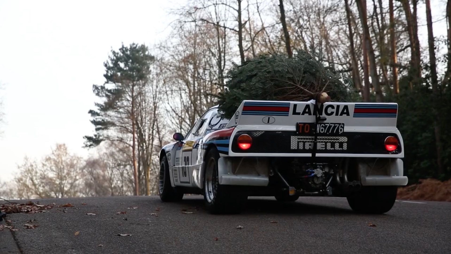 Christmas Trees, Beware: This Lancia 037 Martini Racing Is Out to Get You