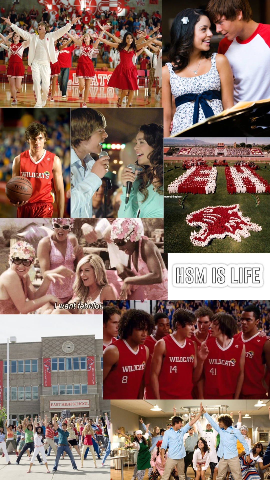 HIGH SCHOOL MUSICAL WALLPAPER. High school musical, High school musical costumes, High school musical wallpaper