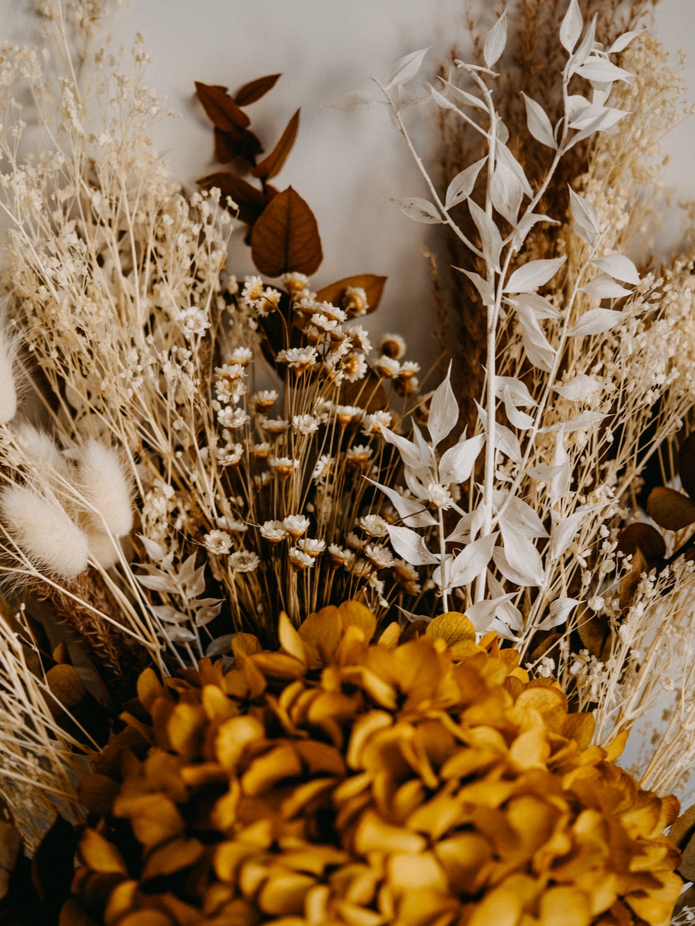 yellow flowers on brown dried grass photo