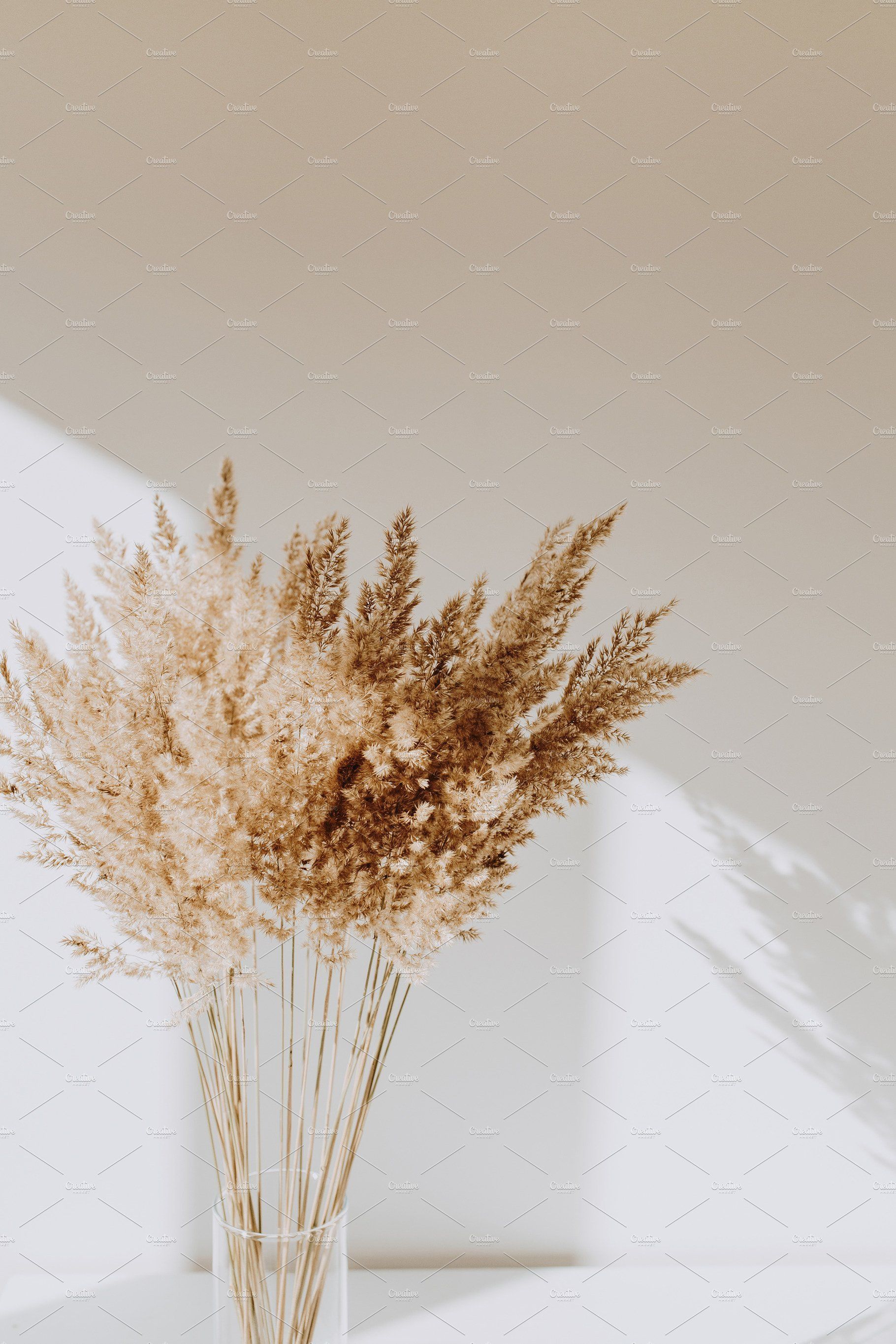 Aesthetic Dried Flowers Desktop Wallpaper