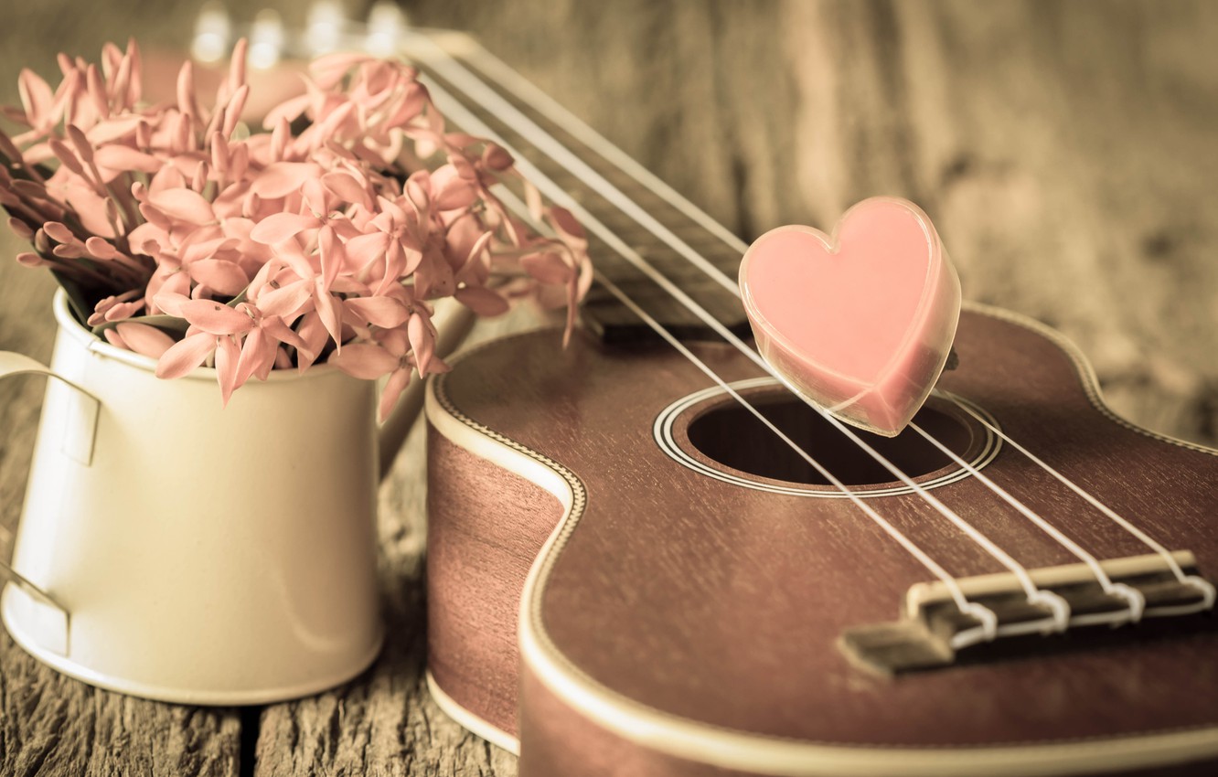 Wallpaper flowers, heart, love, vintage, heart, romantic, ukulele image for desktop, section настроения