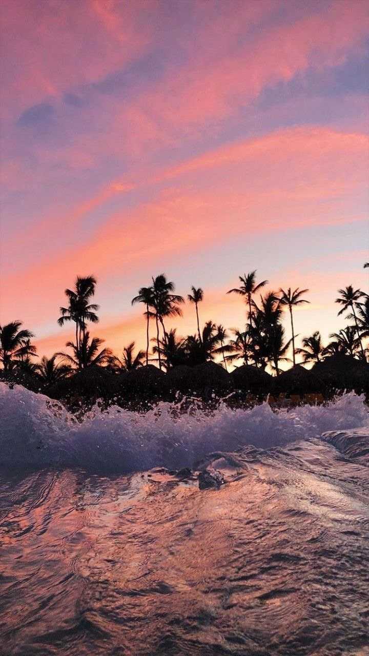 Summer Vibes Wallpaper