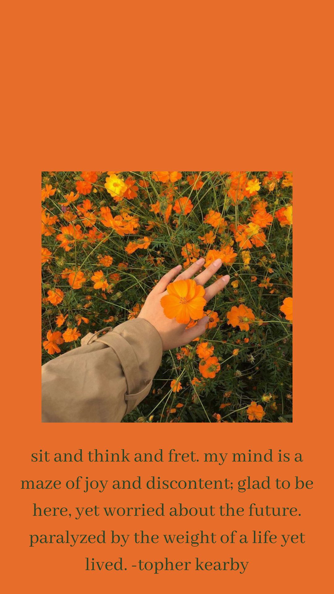 orange #green #flowers #beige #tan #taupe #joy #content #mind #emotions #poetry #quote #topherkearby #aes. Orange wallpaper, Orange wallpaper, Android wallpaper
