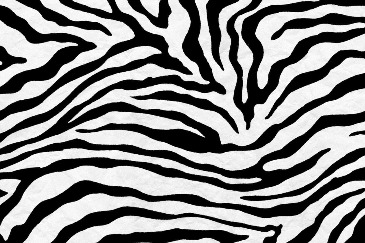 Zebra Pattern Wallpaper Free Zebra Pattern Background