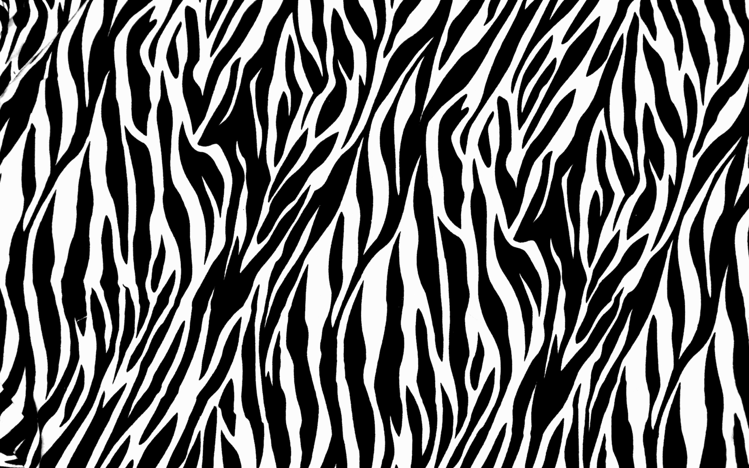 Zebra Print Wallpaper HD For Desktop Pattern HD Wallpaper
