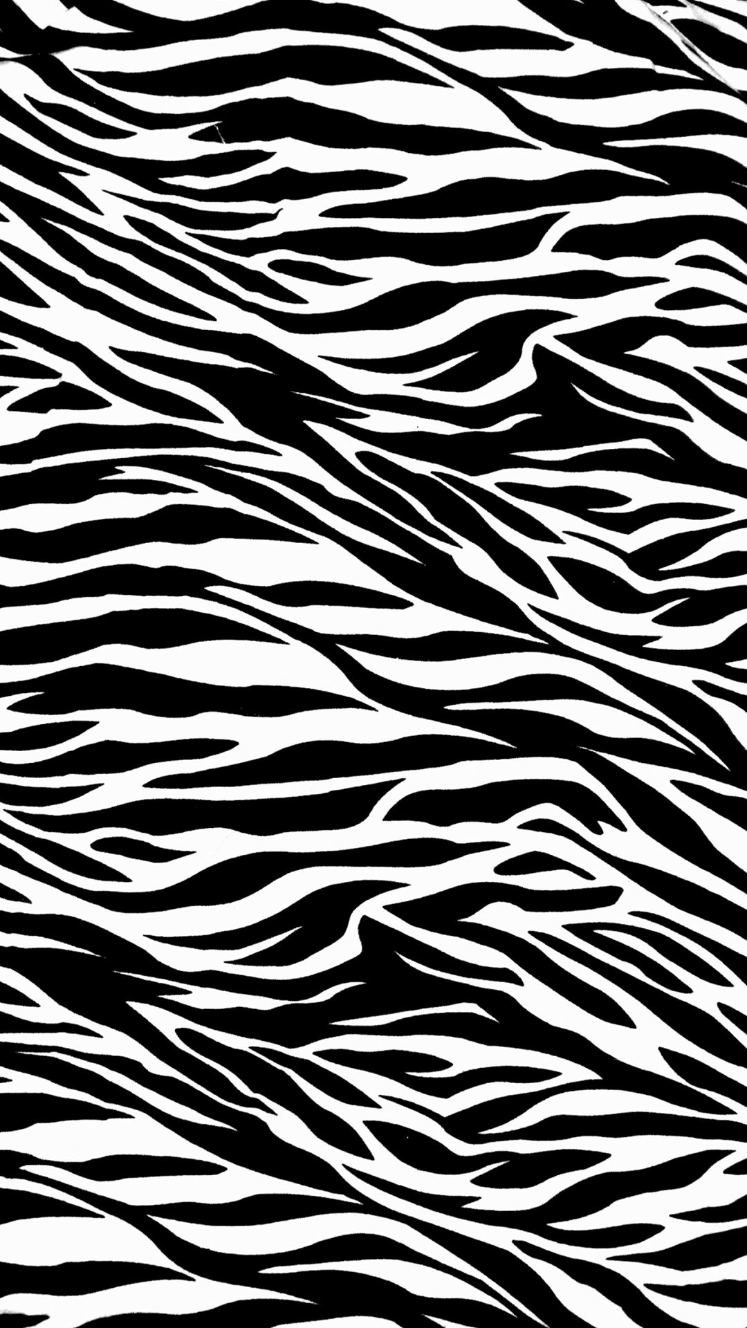 Zebra iPhone Wallpaper