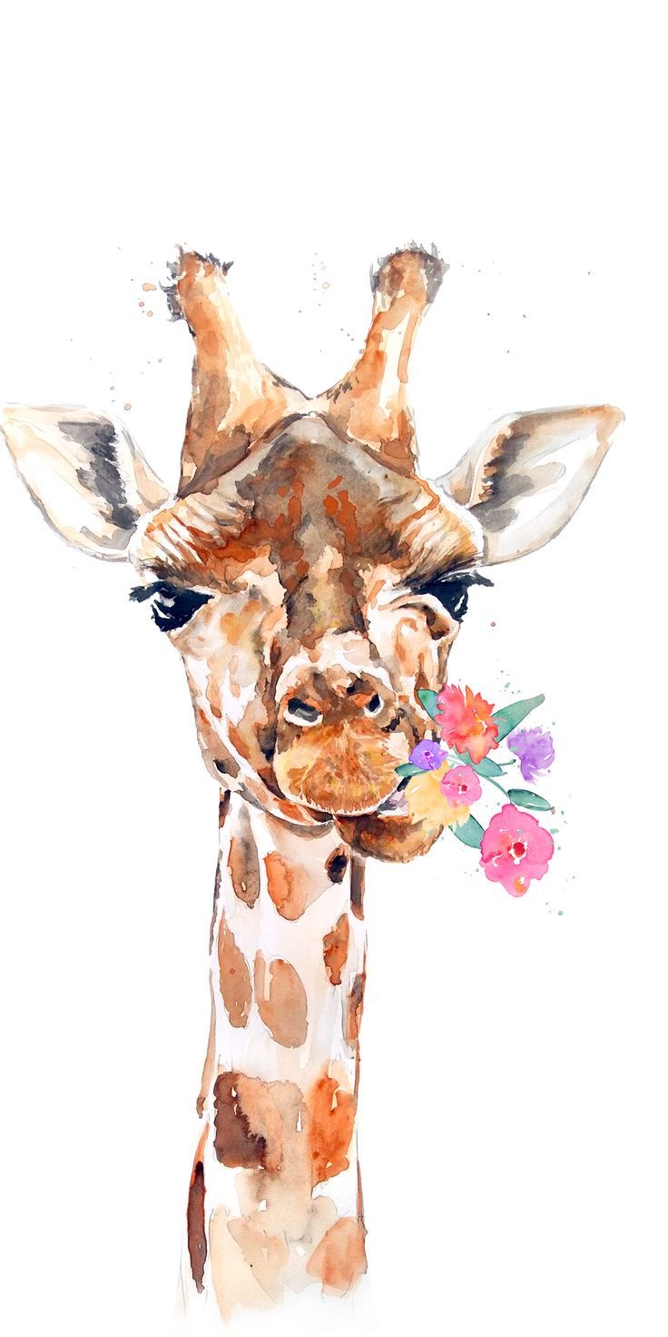 تصویر زمینه (Giraffe Watercolor Wallpaper) طرح زرافه آبرنگی مناسب و بهینه سازی شده برای تلفن همراه و تبلت را در ا. Giraffe art, Giraffe painting, Animal wallpaper