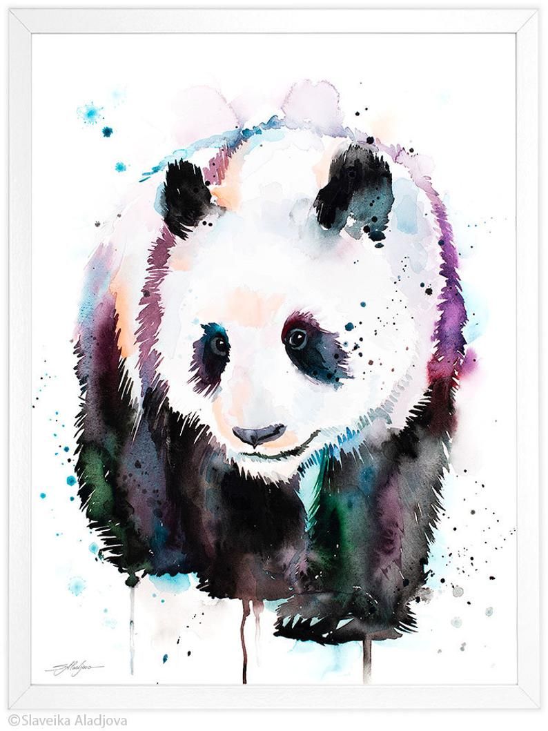 Panda watercolor painting print by Slaveika Aladjova art. Etsy. Panda art, Panda bear art, Panda watercolor