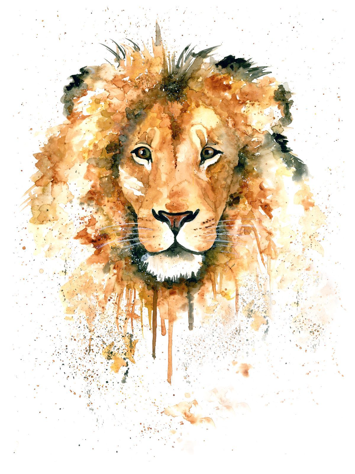 Lion Watercolor Wallpaper Free Lion Watercolor Background