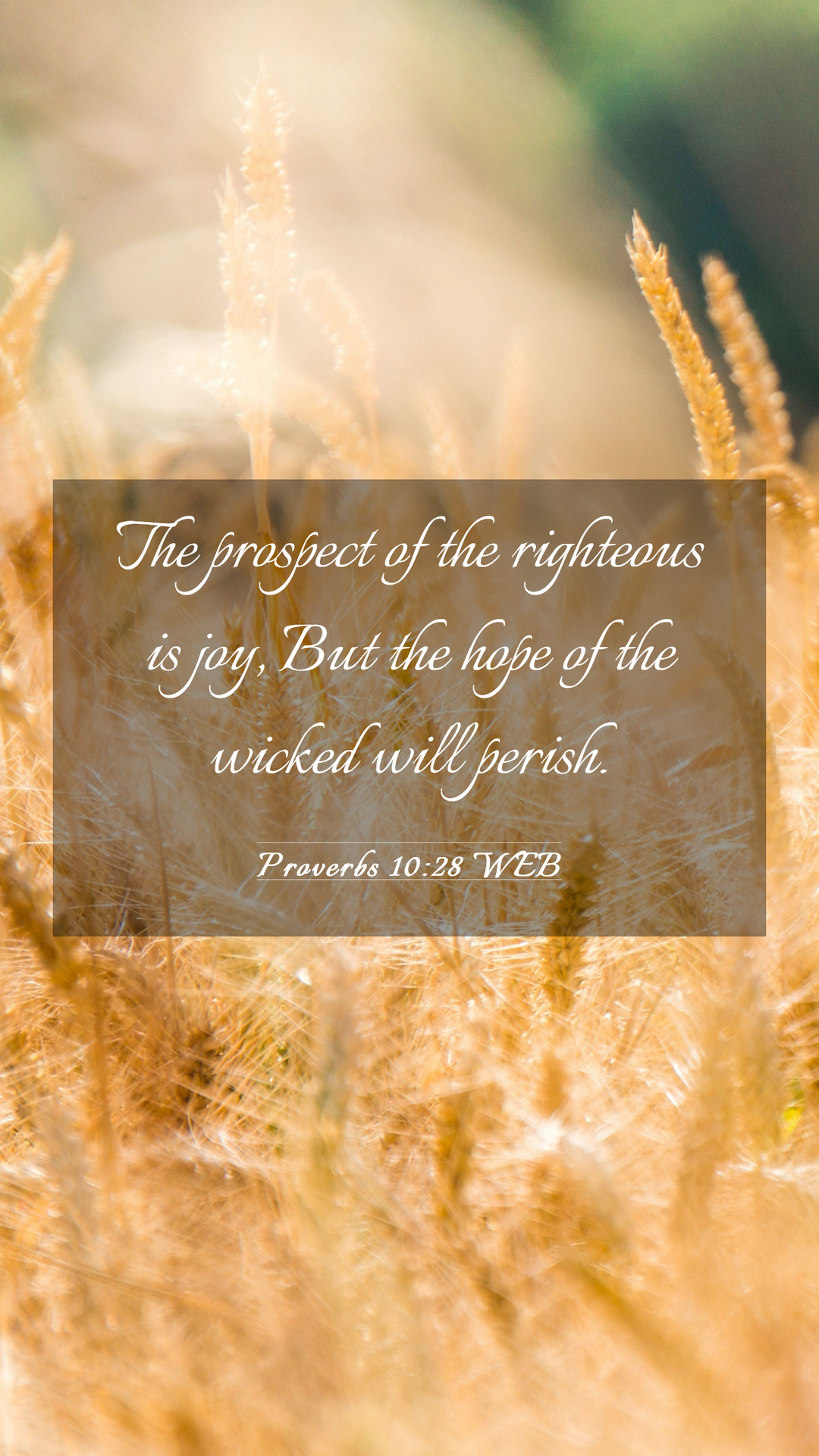 Proverbs 10:28 WEB Mobile Phone Wallpaper prospect of the righteous is joy, But the