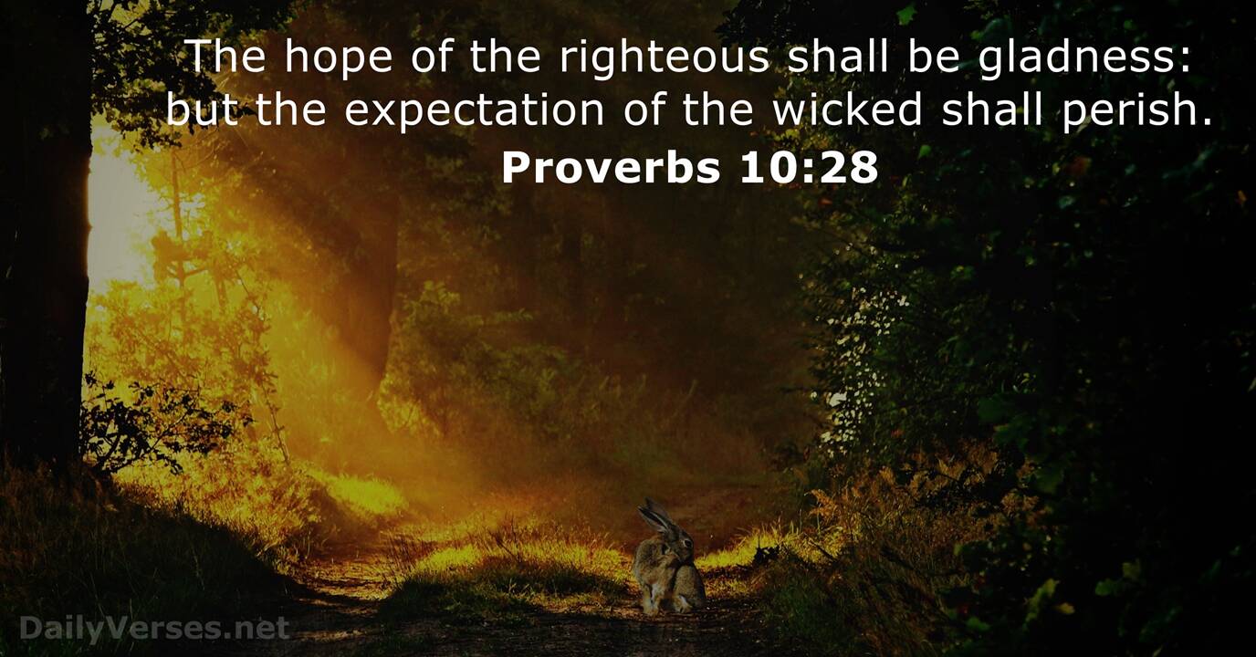 Proverbs 10:28 verse (KJV)