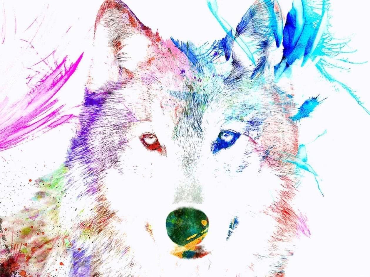 Wolf Watercolor Wallpaper