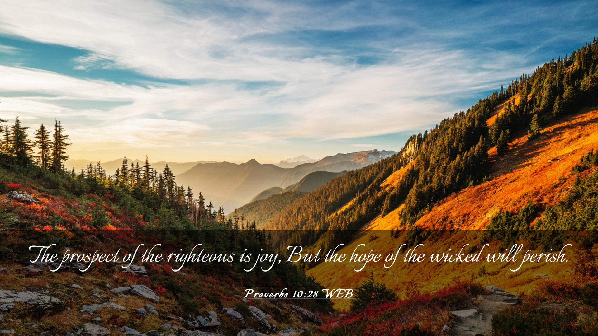 Proverbs 10:28 WEB Desktop Wallpaper prospect of the righteous is joy, But the