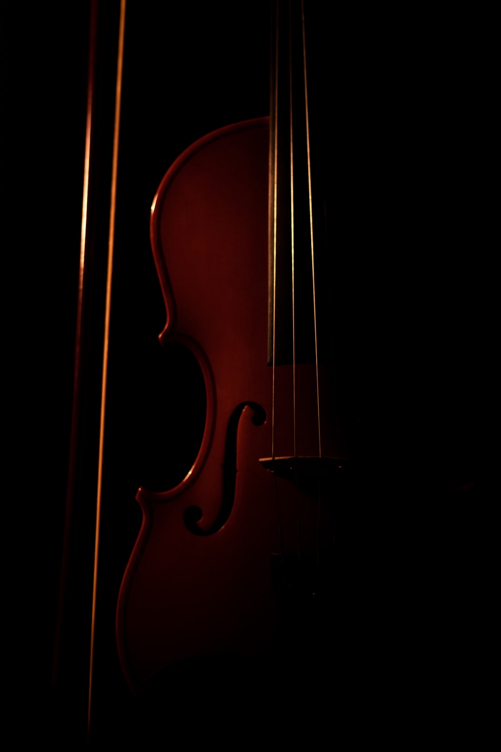 Violin Picture. Download Free Image