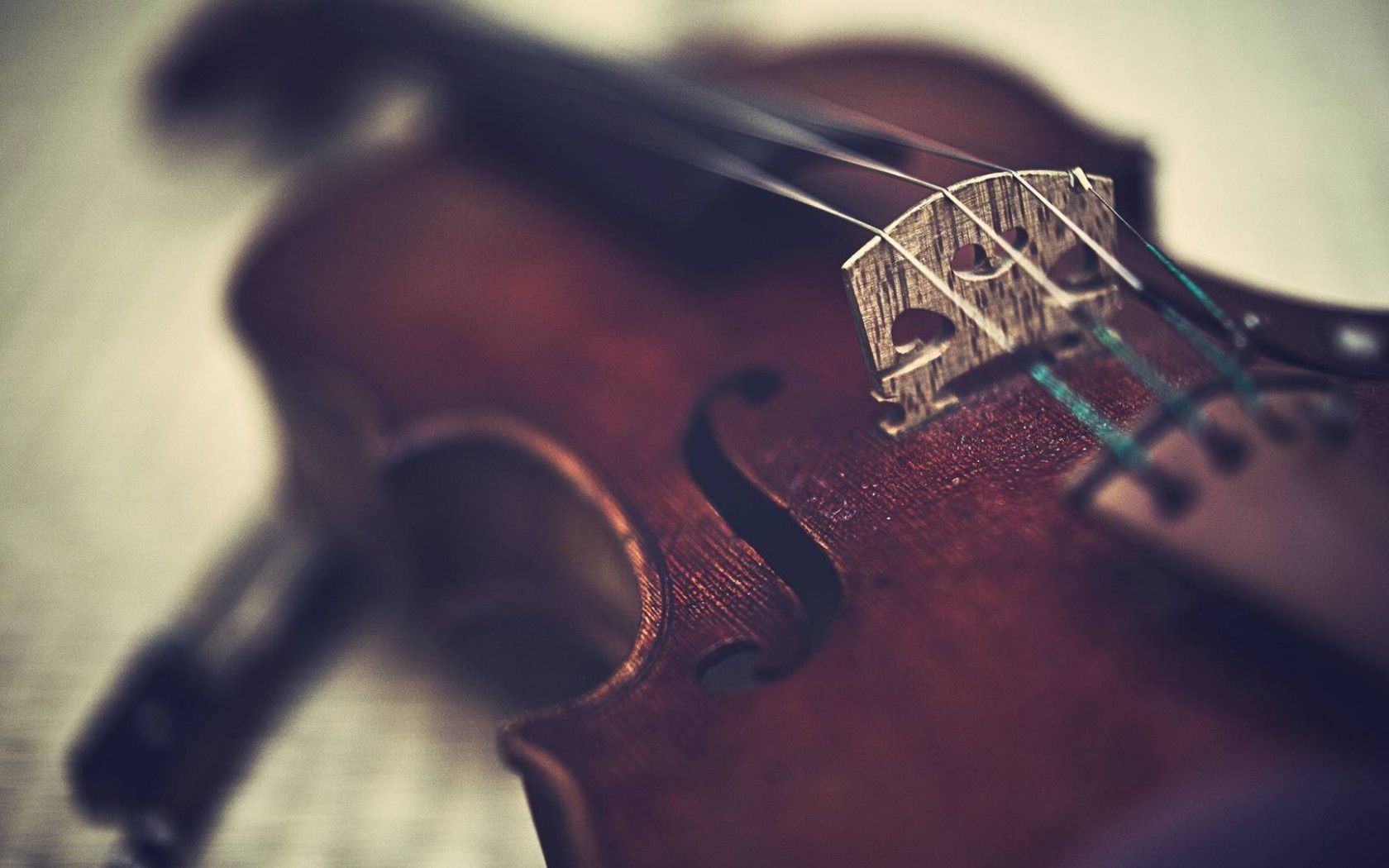 Violin Music Instrument. Violin music, Violin, Music instruments