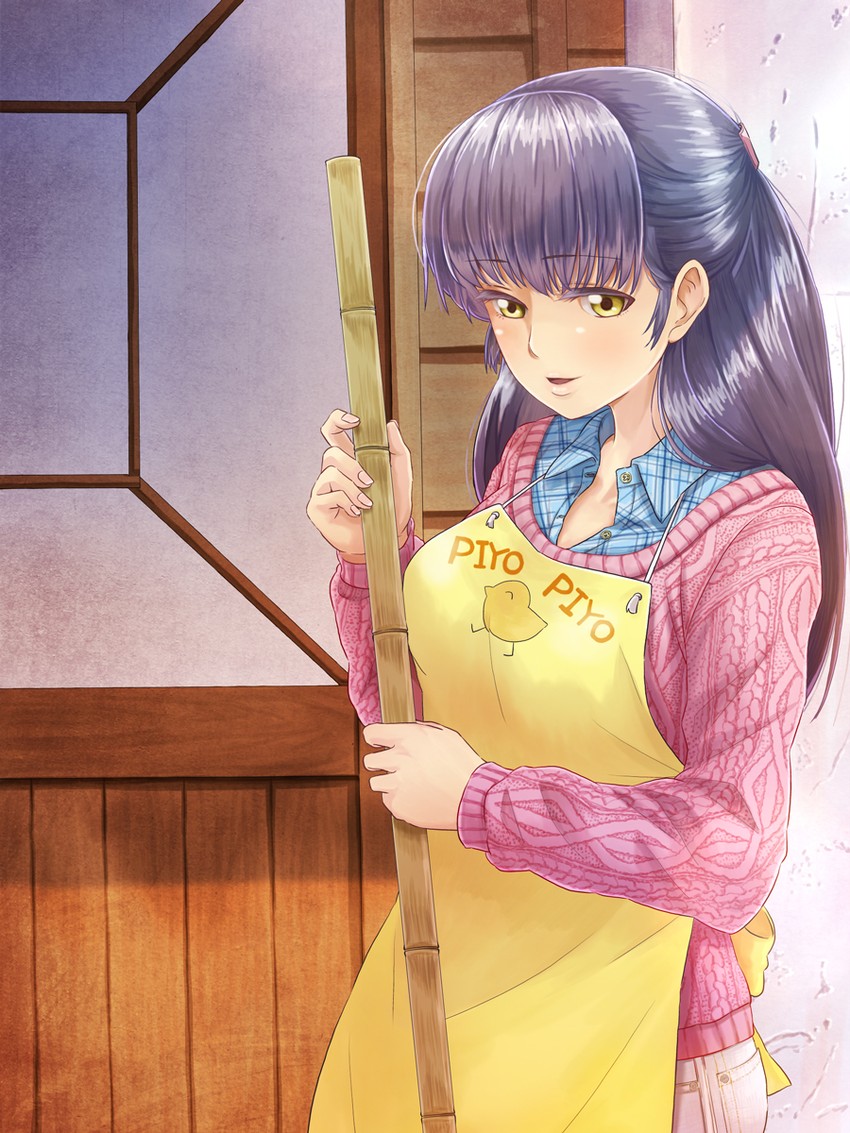 otonashi kyouko (maison ikkoku) drawn