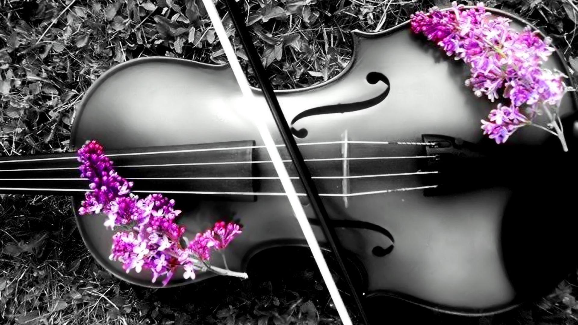 Free download Violin 1080p Wallpaper High Definition High Quality Widescreen [1920x1080] for your Desktop, Mobile & Tablet. Explore Violin Wallpaper. Beautiful Violin Wallpaper, Piano and Violin Wallpaper, Black Violin Wallpaper