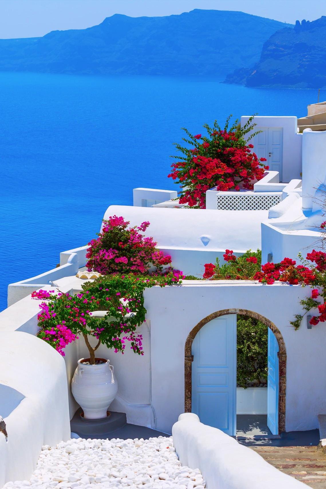 Greece Santorini White House Flowers Sea Houses With Flowers