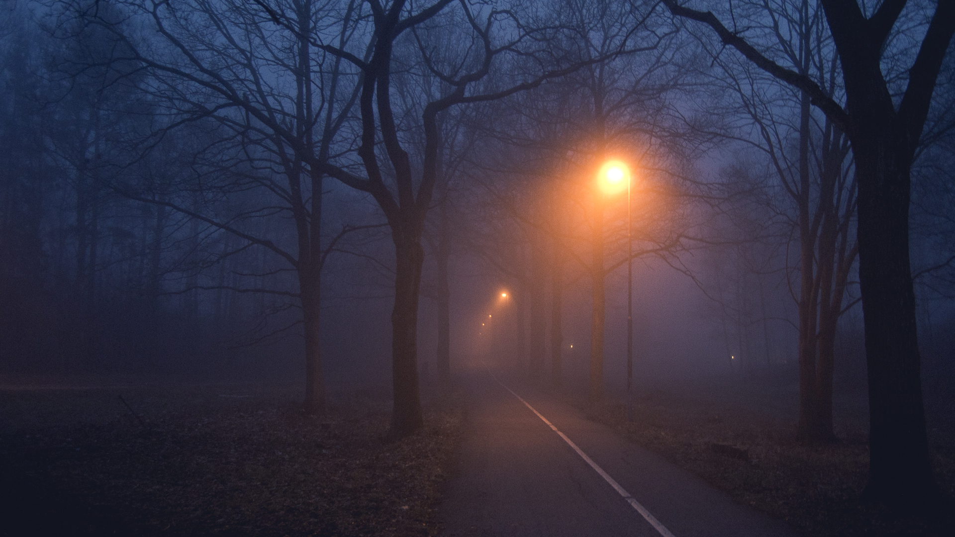 Dark and Foggy Road HD Wallpaper