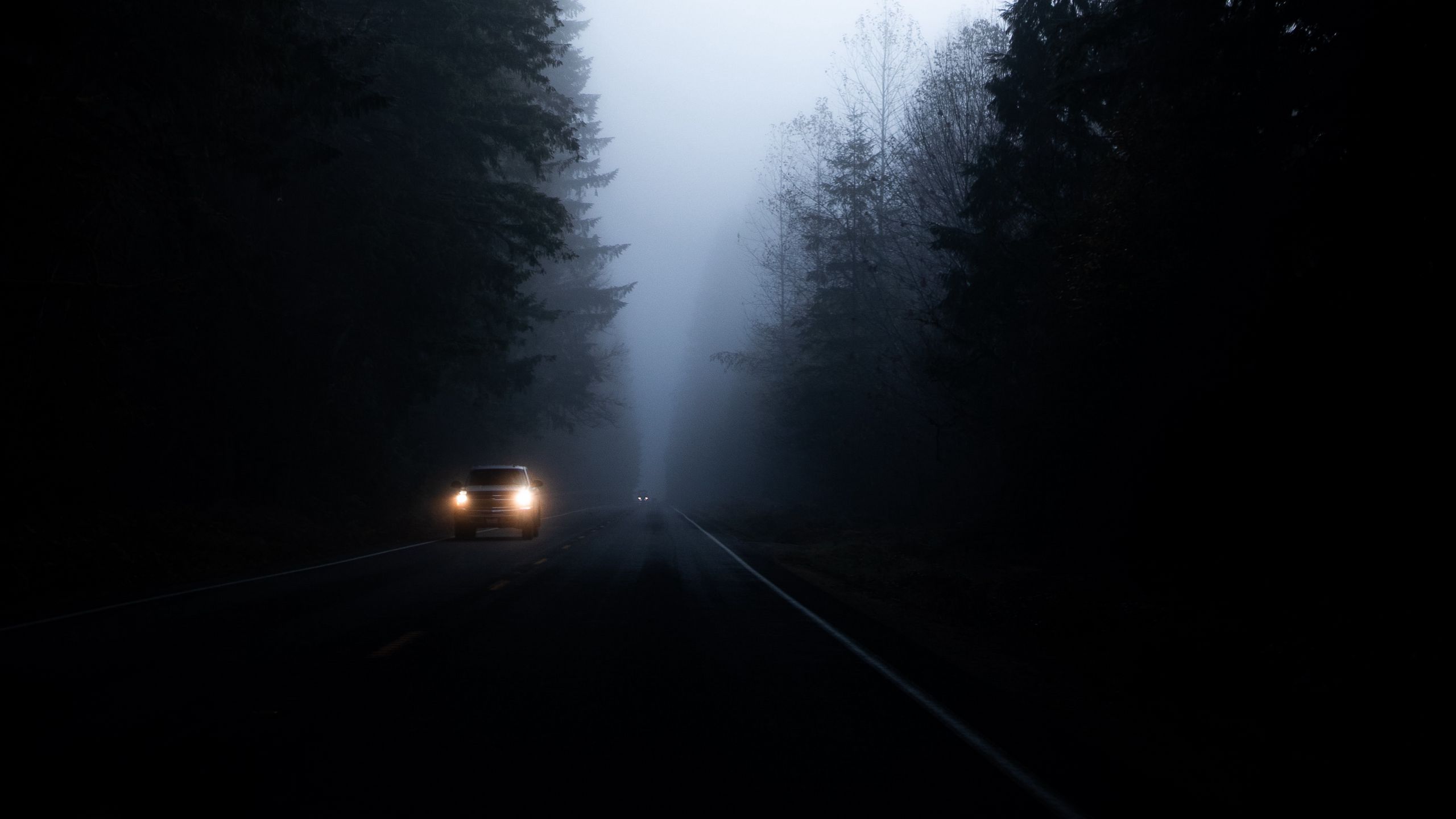 Download wallpaper 2560x1440 road, fog, dark, trees, car widescreen 16:9 HD background