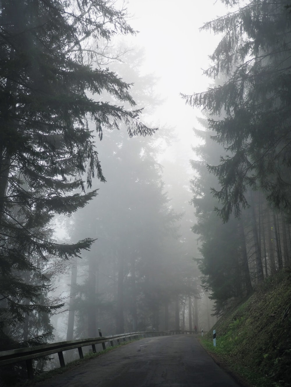 Foggy Road Picture. Download Free Image