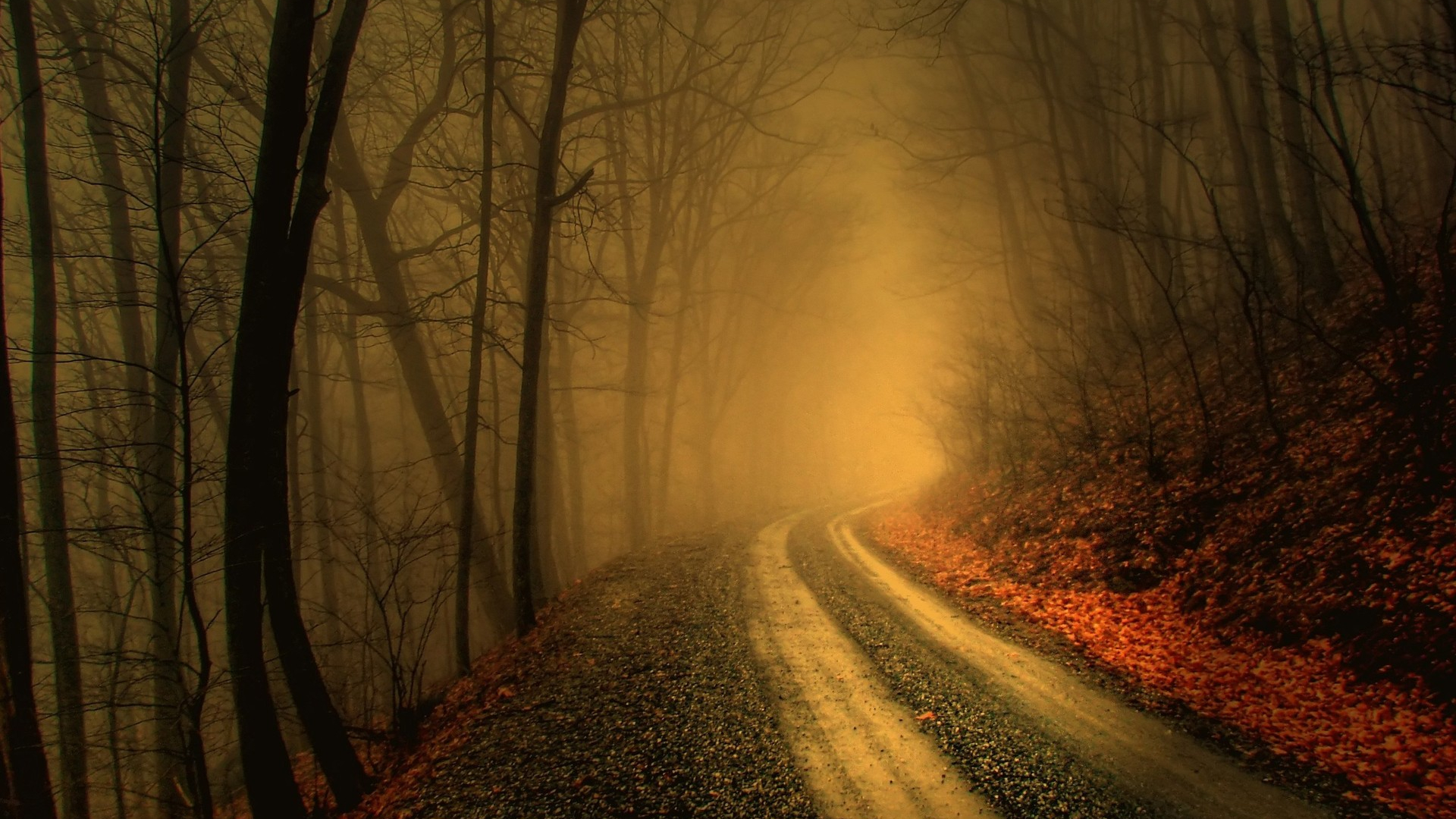 Free download foggy road in dark forest HD wallpaper [1920x1200] for your Desktop, Mobile & Tablet. Explore Foggy Wallpaper. Fog Forest Wallpaper, Foggy Lake Wallpaper, Foggy Forest Wallpaper
