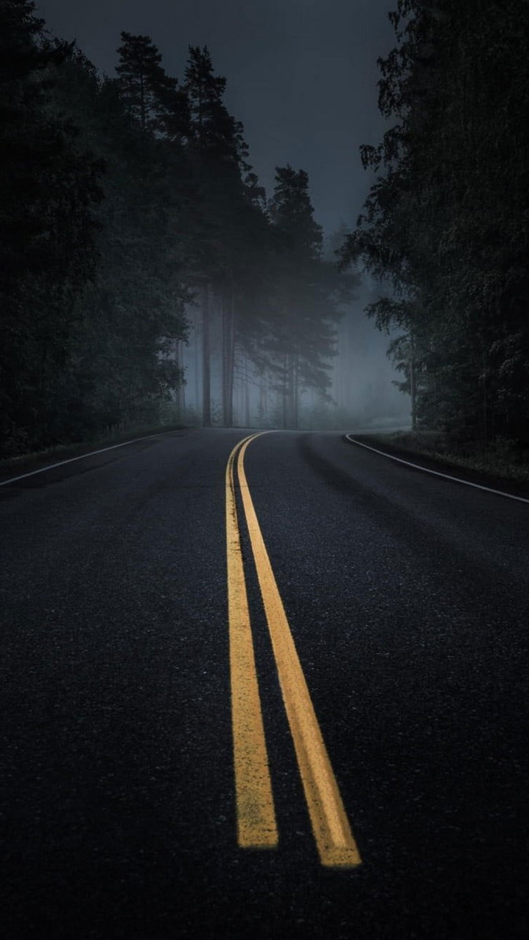 Road wallpaper, Mist, Dark, Asphalt, Night, Pine Trees, Forest • Wallpaper For You HD Wallpaper For Desktop & Mobile