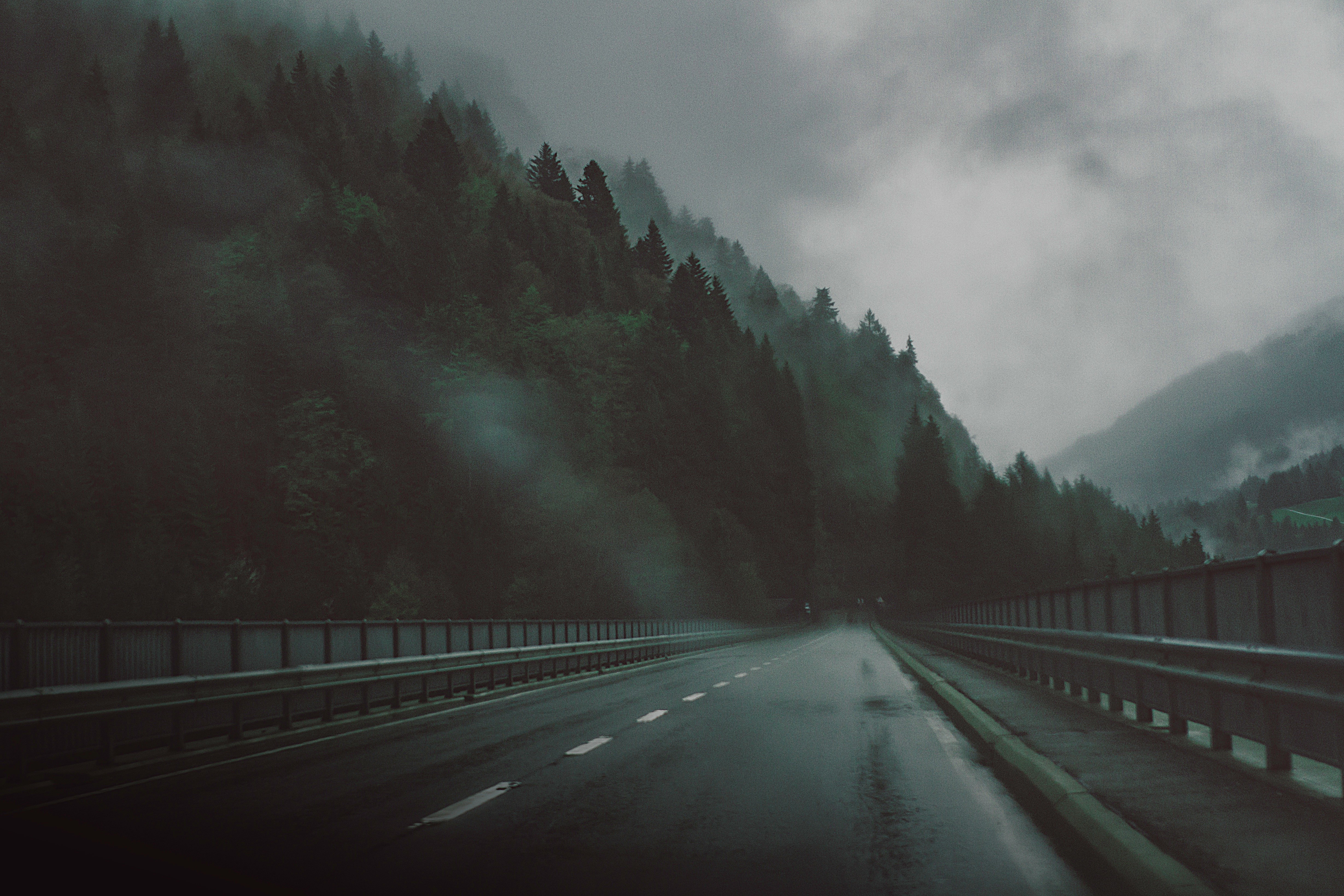 Title Man Made Road Highway Tree Fog Wallpaper Cinematic Background HD Wallpaper
