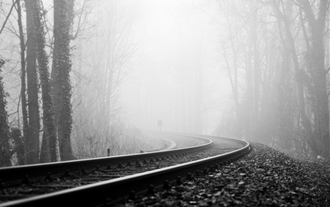 Rail Road Fog & Dark Forest wallpaper. Rail Road Fog & Dark Forest