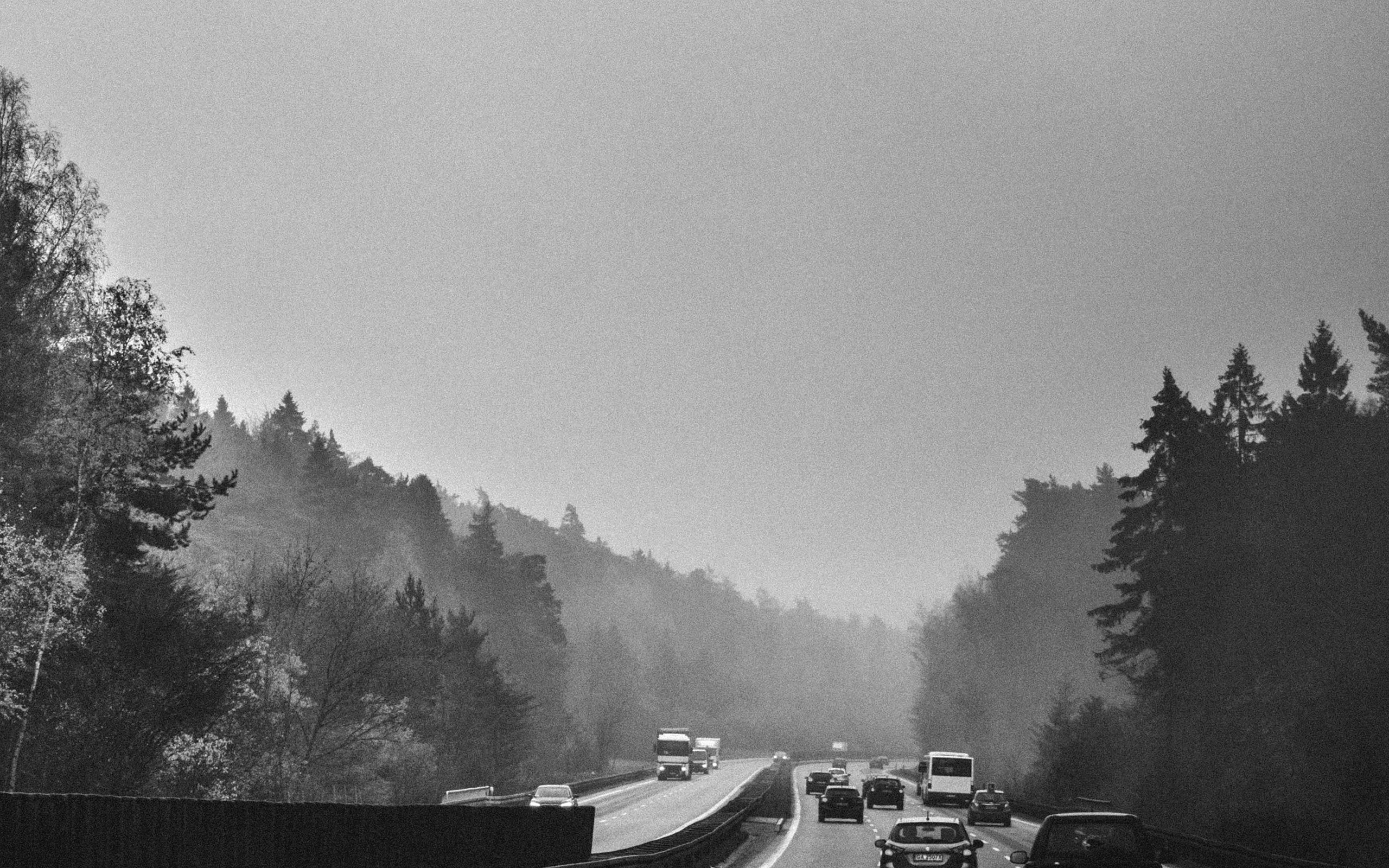 Road Drive Afternoon Nature Foggy Bw Dark Wallpaper