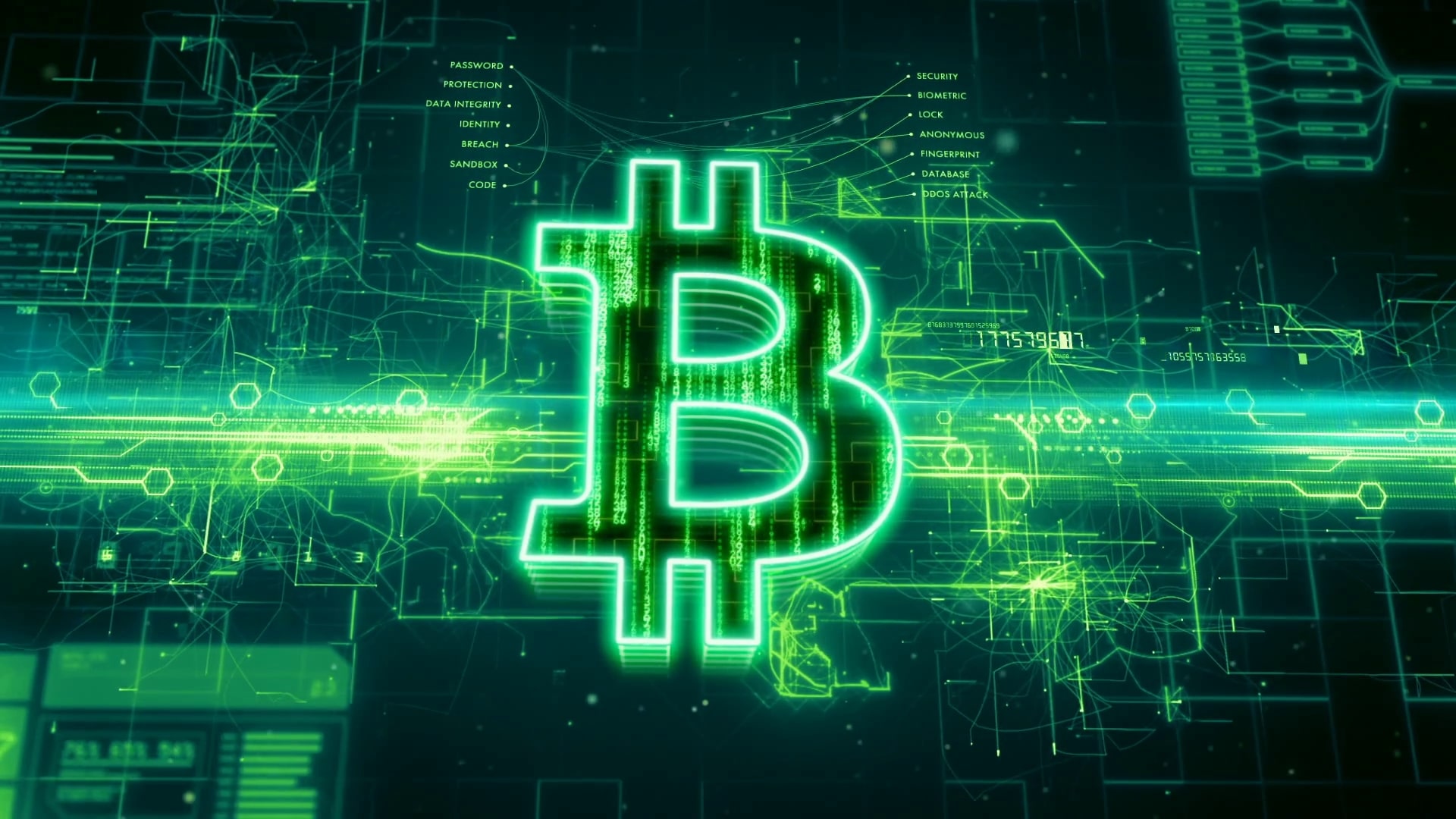 Technology, Bitcoin, Money, Coin Wallpaper & Background Image