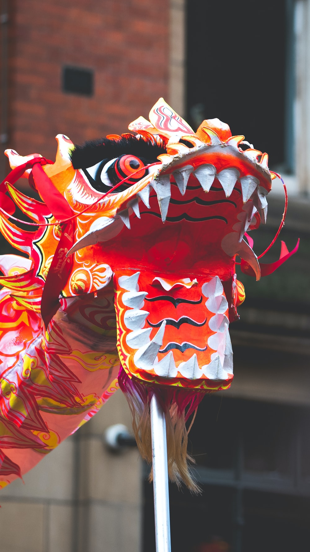 red and white dragon dance photo