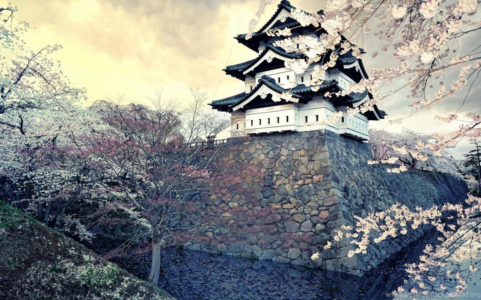 Ancient Japanese Castle In Spring Wallpaper Desktop Background