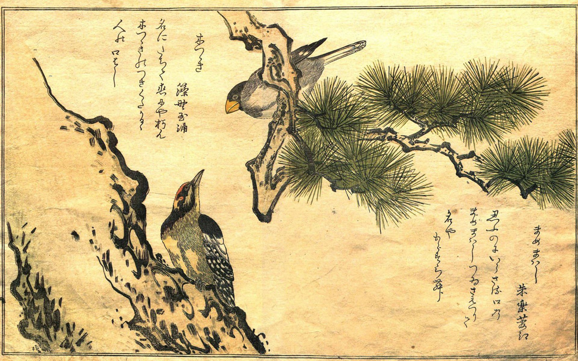 Japanese Art Wallpaper. Japanese art, Japanese art wallpaper, Japanese art samurai