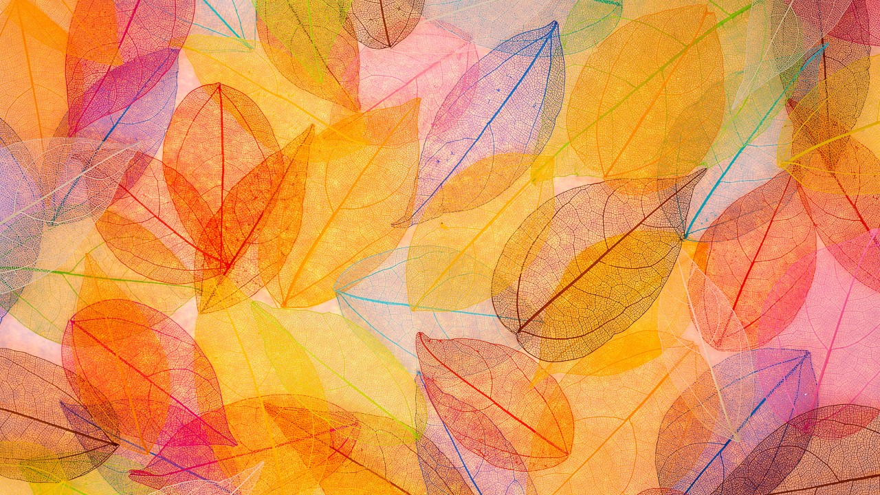 Watercolor Fall Desktop Background
