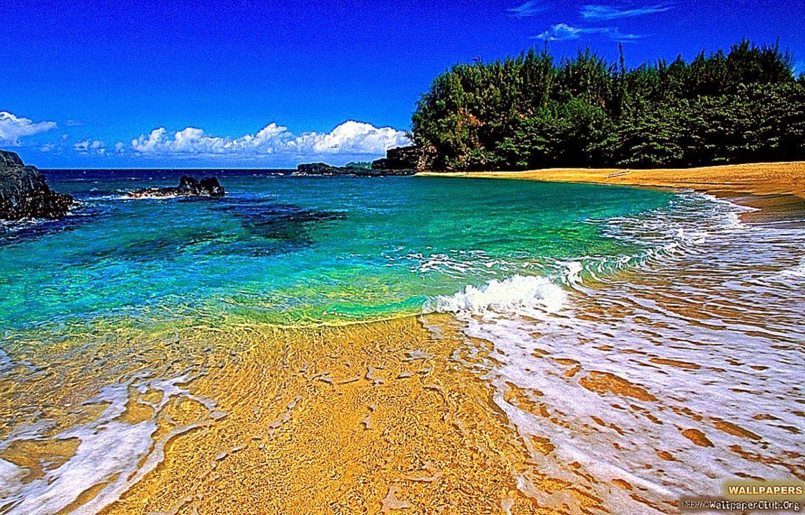 Hawaii Beach Desktop Wallpaper