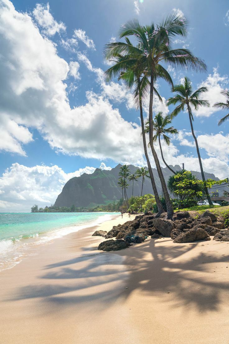 마리아 on Twitter. Hawaii photography, Beach picture, Beautiful beaches