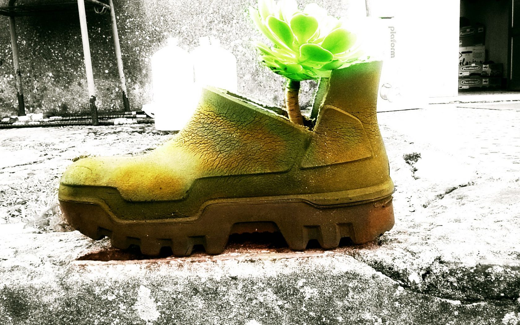 Small Tree Wallpaper. All is Wall