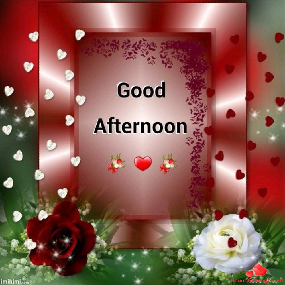 Nice Afternoon Good Afternoon Photo