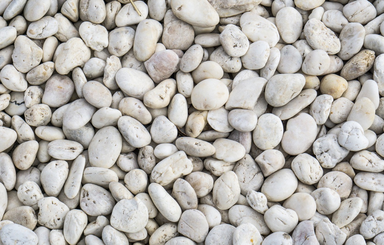 Wallpaper beach, pebbles, stones, background, white, white, beach, texture, marine, sea, pebbles image for desktop, section текстуры