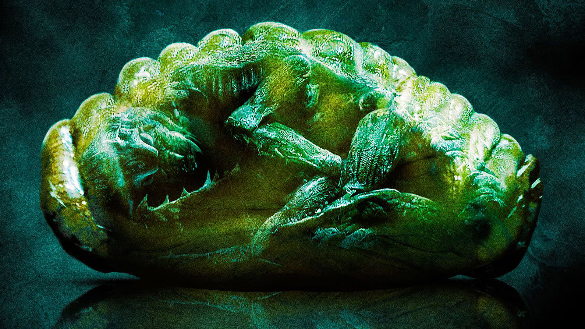 Mimic Wallpapers - Wallpaper Cave