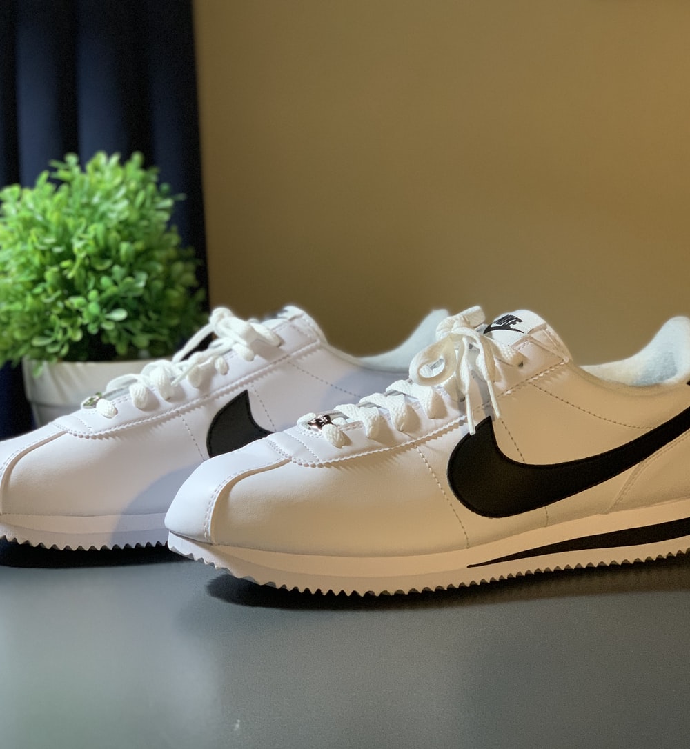 Nike Cortez Picture. Download Free Image