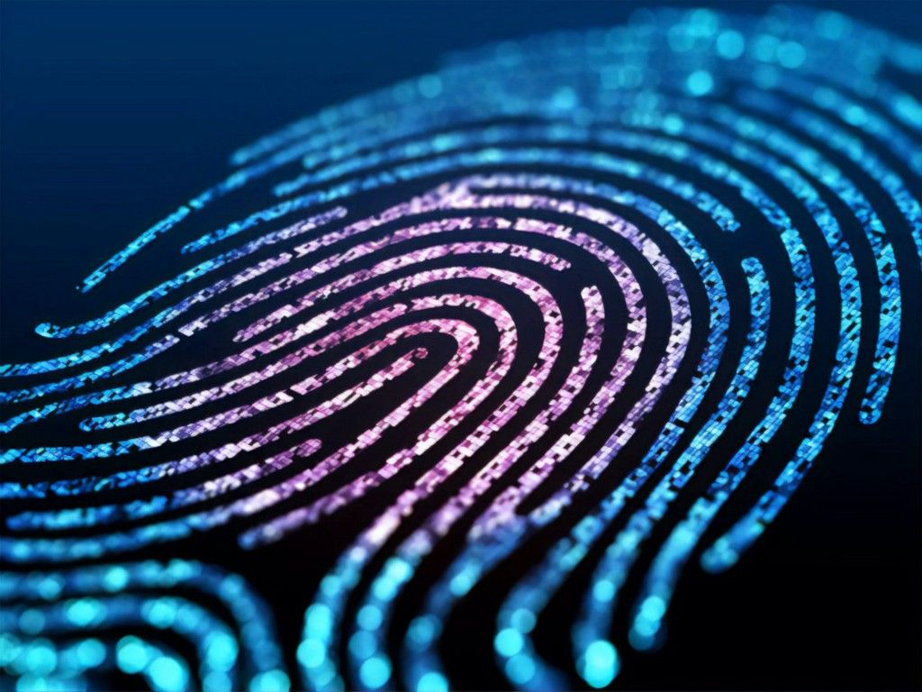 Data Fingerprinting in JavaScript. Fingerprint, Biometrics, Biometric system